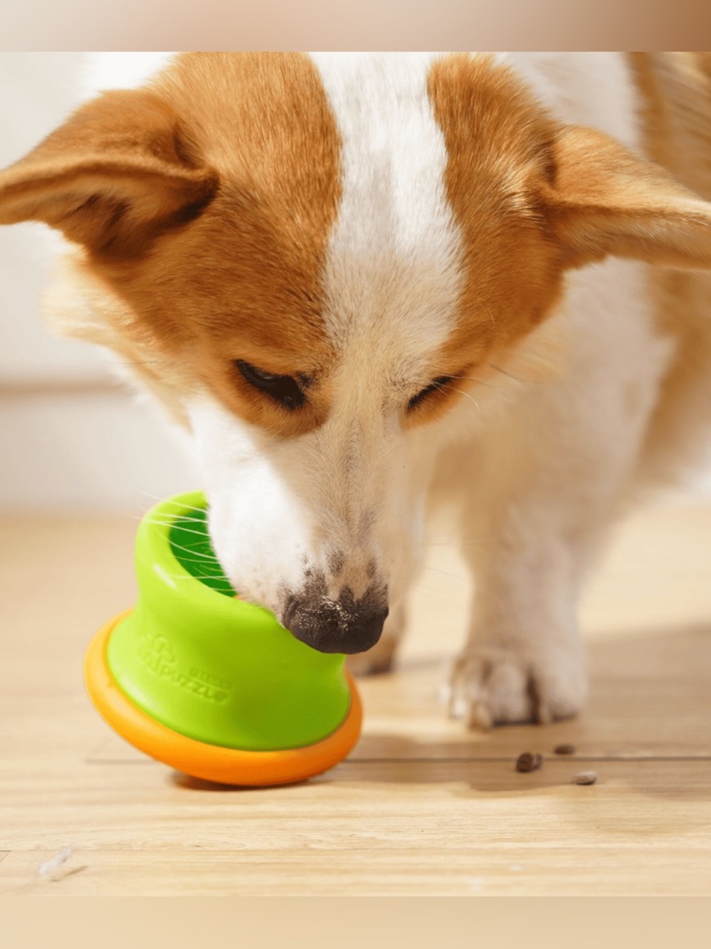 All-in-One Interactive Treat Feeder for Dogs